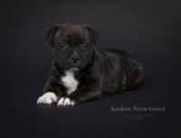 /album/shhenki/arni6-jpg/