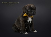 /album/shhenki/basya3-jpg/