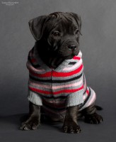 /album/shhenki/a4-jpg3/