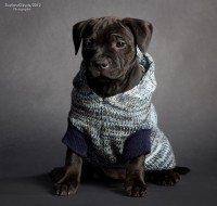 /album/shhenki/a3-jpg1/