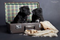 /album/shhenki/a208546-4ec08-62963775-u56bf4-jpg/