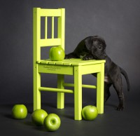 /album/shhenki/a208546-fc5f2-62963732-u47ef8-jpg/