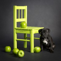 /album/shhenki/a208546-dd0cf-62963733-u19fea-jpg/