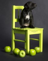 /album/shhenki/a208546-d63fa-62963725-u56b72-jpg/