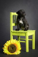 /album/shhenki/a208546-ee81a-62963745-udba38-jpg/