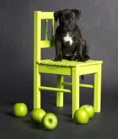 /album/shhenki/a208546-2b95c-62963741-u9a49e-jpg/