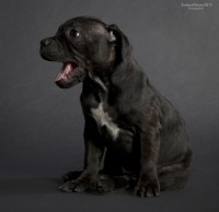 /album/shhenki/a208546-d0c3b-62963778-udff2c-jpg/