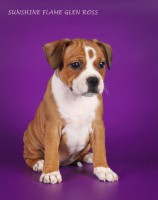 /album/shhenki/img-0904-jpg/