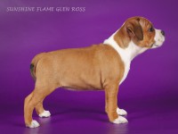 /album/shhenki/img-0943-jpg/