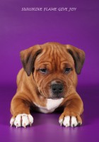 /album/shhenki/img-1127-jpg/