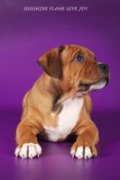 /album/shhenki/img-1128-jpg/