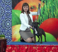 18 - 20 марта 2016г, г.Баку Азербайджан, 3 * CACIB show